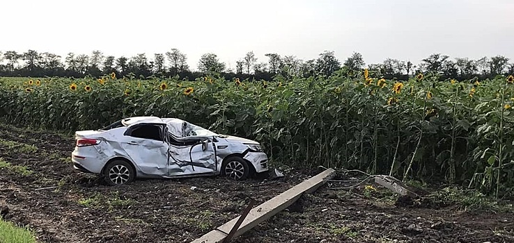 9-летняя девочка пострадала в ДТП с автомобилем, вылетевшим на поле с подсолнухами в Краснодарском крае