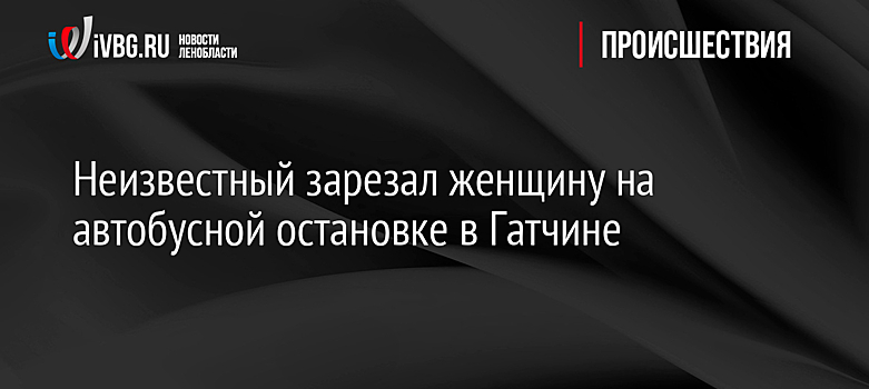Неизвестный зарезал женщину на автобусной остановке в Гатчине