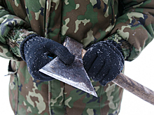 Пособников «черных лесорубов» готовы штрафовать на 50 тысяч рублей