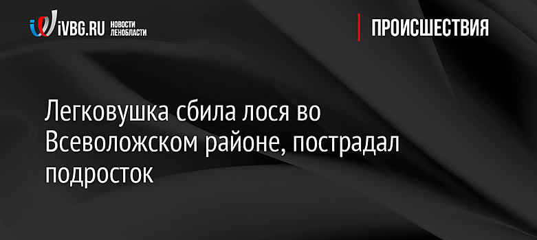Легковушка сбила лося во Всеволожском районе, пострадал подросток