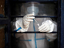 Названо условие для коллективного иммунитета