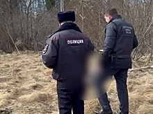 В ленинградской деревне нашли тело четвертого убитого