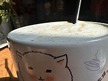 Костромич украл кофеварку, хотя не очень хотел
