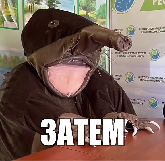 Теперь у него появился конкурент — калужский выхухоль. Он стал символом экологии в 2019 году, но на фото обратили внимание только сейчас.