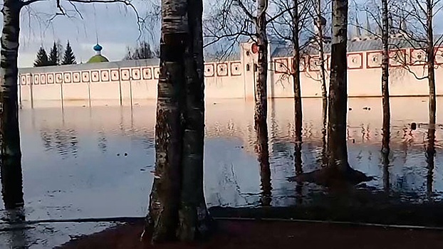 Зимние дожди спровоцировали паводок в Ленобласти