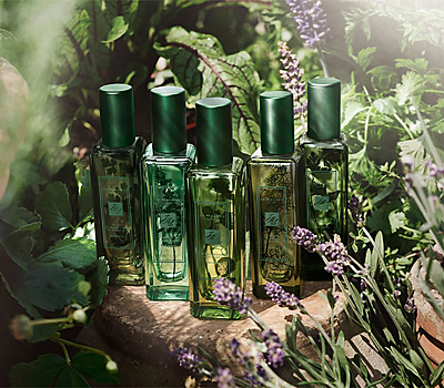 Лимитированная коллекция Jo Malone приглашает в английский сад