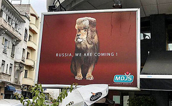 "Россия, мы едем": Атласские львы шлют послания в ушанках