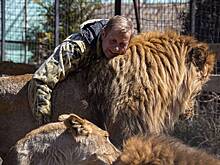 Директор сафари-парка «Тайган» раскрыл отношение к напавшему на него льву