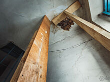 Суд запретил кузбасской мэрии уничтожить детище застройщика-мошенника