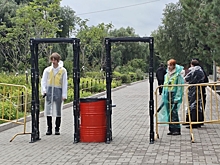 В Омске собак не пускают в парк на Зеленый остров, где сегодня пройдет концерт Клавы Коки