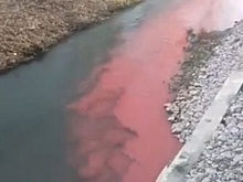 Природоохранные структуры во Владимирской области выясняют происхождение розового цвета на реке Рпень