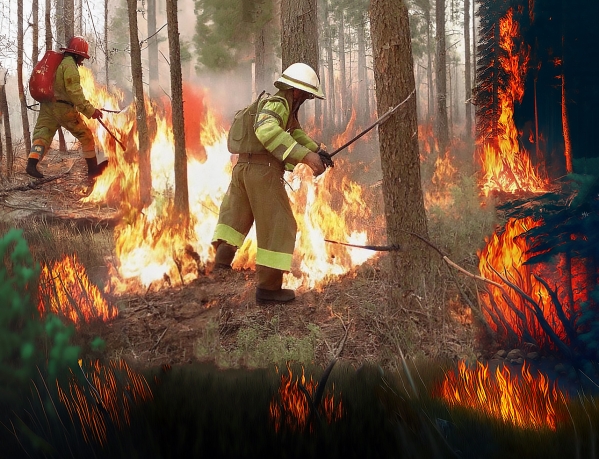 Два пожара ликвидировали в лесах Иркутской области за сутки