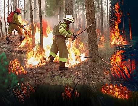 В Югре потушили первые ландшафтные пожары
