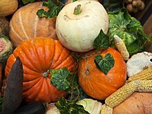 Роскачество рассказало, как выбрать вкусную тыкву