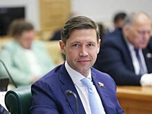 Сенатор Шейкин предложил ввести обязательную эвакуацию брошенных электросамокатов