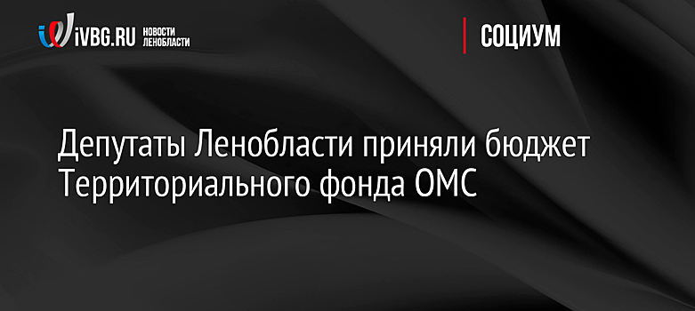 Депутаты Ленобласти приняли бюджет Территориального фонда ОМС