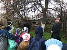 Лиственницы-долгожительницы поселились во дворе нижегородской школы