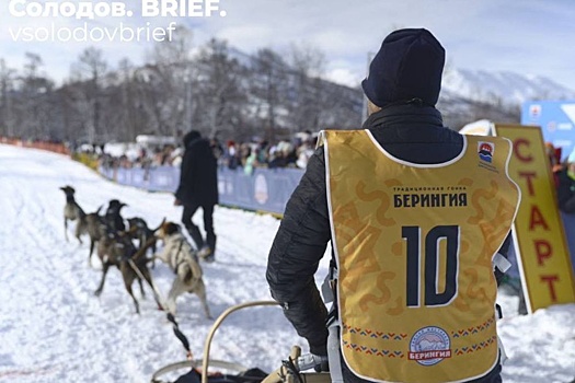 На Камчатке каюры борются в традиционной гонке на собачьих упряжках