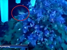 В Башкирии заметили экзотичного «Колибри»