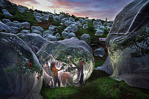 Битва за битвой. Войны, катастрофы и моменты, в которые сложно поверить: лучшие снимки года со всего мира