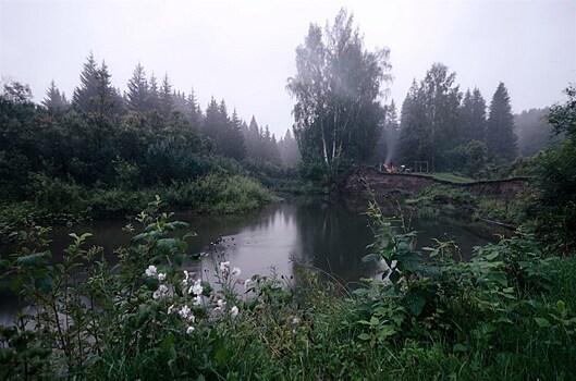 Томские эксперты ОНФ выступили против сокращения территории и режима охраны памятника природы — Ларинского заказника