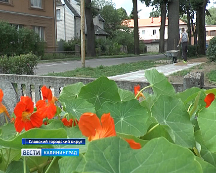 В Славском округе реализуют 57 проектов по программе конкретных дел