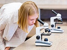 Москвичей пригласили на необычную выставку о плесени в столичный биокластер