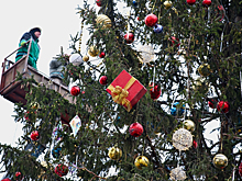 В Подмосковье выбрали главную новогоднюю ель России