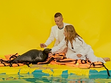 Как семейная пара из Петербурга создала единственный в России центр спасения балтийской нерпы