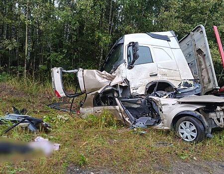 В Увинском районе произошло смертельное ДТП с грузовиком