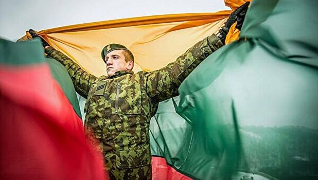 Литва призвала к усилению НАТО на восточном фланге