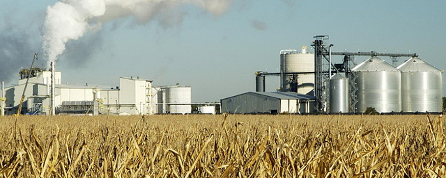 В Красноярском крае построят завод по глубокой переработке зерна