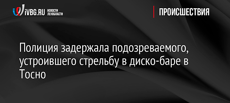 Полиция задержала подозреваемого, устроившего стрельбу в диско-баре в Тосно