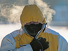 В Москву придут январские морозы