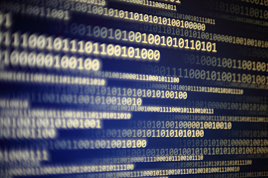 Голландские ученые разогнали ИИ благодаря российскому датасету