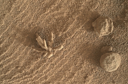 NASA столкнулось с проблемами в ходе миссии по возврату образцов с Марса