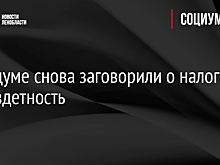В Госдуме снова заговорили о налоге на бездетность