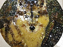 В Калининграде создали уникальное панно из янтаря с изображением хаски