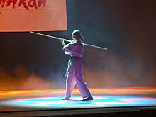В Пензе 250 каратистов выступили на фестивале «Путь воина»