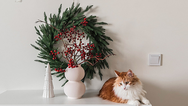 Как украсить дом к Новому году: классика, дофамин и год Лошади