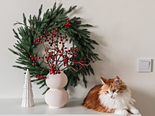 Как украсить дом к Новому году: классика, дофамин и год Лошади