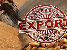 Волгоградская область в 100 раз увеличила экспорт зерна и муки в Афганистан