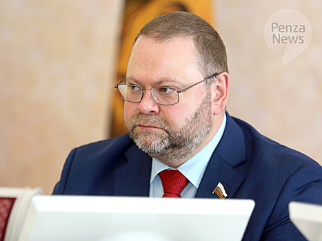Голосование по поправкам показало, что власти Пензенской области работают хорошо — Мельниченко