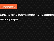 Навального поместили в СИЗО во Владимирской области