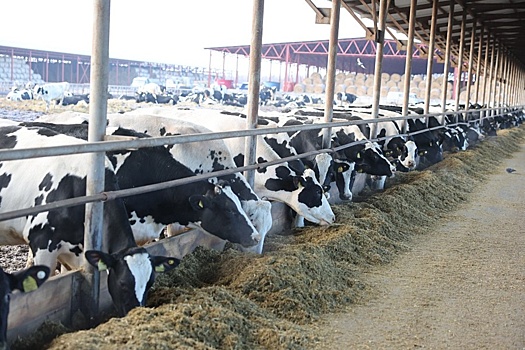 Для продовольственной безопасности страны потребуются специалисты