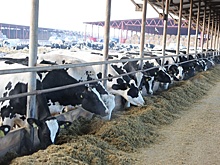 Для продовольственной безопасности страны потребуются специалисты