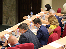 Депутаты закрепили в Уставе Саратова присоединение сельских территорий