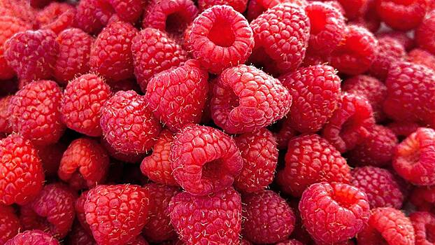 Народный календарь. Почему нужно собирать малину на Трофима Бессонника, 5 августа