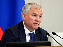 Дума приняла 131 закон по поддержке участников СВО и членов их семей