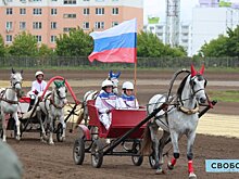 В Саратове кубок открытия бегового сезона взяла лошадь Прохлада